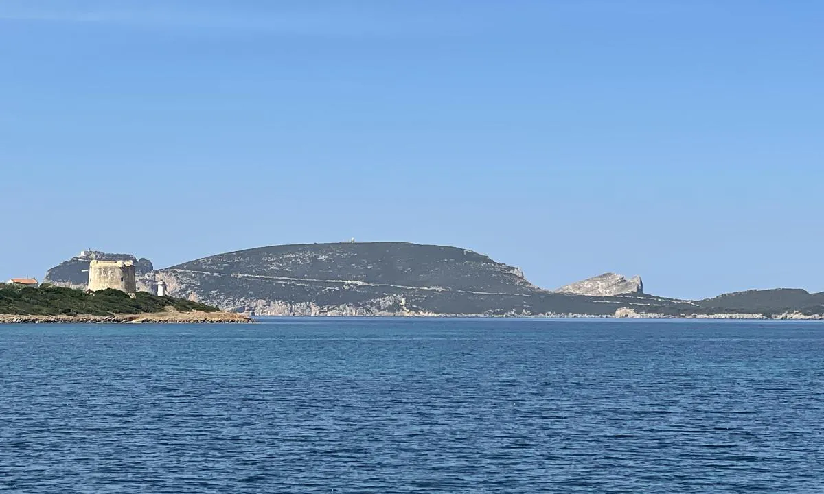 Porto Conte Torre Nuova: {"base": "en", "no": "Ser tilbake p\u00e5 inngangen", "se": "Ser tillbaka p\u00e5 ing\u00e5ngen", "en": "Looking back at the entrance", "da": "Ser tilbage p\u00e5 indsejlingen", "fr": "Regardant en arri\u00e8re \u00e0 l'entr\u00e9e", "de": "Zur\u00fcckblickend auf den Eingang", "es": "Mirando hacia atr\u00e1s en la entrada", "it": "Guardando indietro verso l'ingresso", "pt": "Olhando de volta para a entrada", "nl": "Terugkijkend naar de ingang", "pl": "Patrz\u0105c wstecz na wej\u015bcie", "uk": "\u041e\u0431\u0435\u0440\u0442\u0430\u044e\u0447\u0438\u0441\u044c \u043d\u0430\u0437\u0430\u0434 \u043d\u0430 \u0432\u0445\u0456\u0434", "ro": "Privind \u00eenapoi la intrare", "tr": "Giri\u015fe bakarken", "el": "\u039a\u03bf\u03b9\u03c4\u03ac\u03b6\u03bf\u03bd\u03c4\u03b1\u03c2 \u03c0\u03af\u03c3\u03c9 \u03c3\u03c4\u03b7\u03bd \u03b5\u03af\u03c3\u03bf\u03b4\u03bf", "cs": "Pohled zp\u011bt na vjezd", "hu": "<p>Visszatekint\u00e9s a bej\u00e1ratra</p>", "fi": "Katsoen takaisin sis\u00e4\u00e4nk\u00e4ynti\u00e4 kohti", "bg": "\u041e\u0431\u0440\u044a\u0449\u0430\u0439\u043a\u0438 \u043f\u043e\u0433\u043b\u0435\u0434 \u043d\u0430\u0437\u0430\u0434 \u043a\u044a\u043c \u0432\u0445\u043e\u0434\u0430", "sr": "<p>Gledaju\u0107i unatrag na ulaz</p>", "et": "Tagasi vaadates sissep\u00e4\u00e4su suunas", "lv": "Atpaka\u013cskat\u0101 uz ieeju", "lt": "\u017dvilgsnis atgal \u012f \u012fplauk\u0105"}