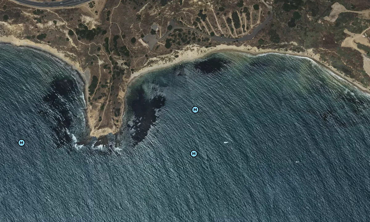Satelite image of Portuguese Bend
