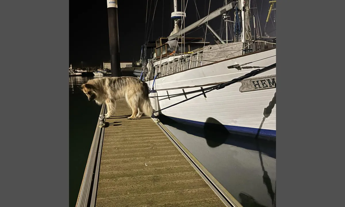 Povoa De Varzim Marina: Vår flytbrygga