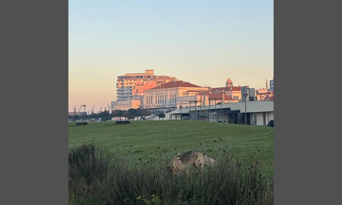 Povoa De Varzim Marina: {"base": "se", "no": "Casinoet i P\u00f3voa som ligger rett ved den nordlige gjestehavnen", "se": "Casinot i P\u00f3voa som ligger alldeles vid norra g\u00e4sthamnen", "en": "The Casino in P\u00f3voa which is located right by the northern guest harbour", "da": "Casinoet i P\u00f3voa som ligger lige ved den nordlige g\u00e6stehavn", "fr": "Le casino de P\u00f3voa situ\u00e9 juste au port de plaisance nord", "de": "Das Kasino in P\u00f3voa, das direkt neben dem n\u00f6rdlichen G\u00e4stehafen liegt", "es": "El casino en P\u00f3voa que se encuentra justo en el puerto de hu\u00e9spedes del norte", "it": "Il Casin\u00f2 di P\u00f3voa situato proprio presso il porto turistico settentrionale", "pt": "O cassino em P\u00f3voa que fica bem ao lado da marina norte", "nl": "Het casino in P\u00f3voa dat zich bevindt direct bij de noordelijke jachthaven", "pl": "Kasyno w P\u00f3voa, kt\u00f3re znajduje si\u0119 tu\u017c przy p\u00f3\u0142nocnej przystani jachtowej", "uk": "\u041a\u0430\u0437\u0438\u043d\u043e \u0432 \u041f\u043e\u0432\u0443\u0430, \u044f\u043a\u0435 \u0440\u043e\u0437\u0442\u0430\u0448\u043e\u0432\u0430\u043d\u0435 \u043f\u0440\u044f\u043c\u043e \u0431\u0456\u043b\u044f \u043f\u0456\u0432\u043d\u0456\u0447\u043d\u043e\u0433\u043e \u0433\u043e\u0441\u0442\u044c\u043e\u0432\u043e\u0433\u043e \u043f\u043e\u0440\u0442\u0443", "ro": "Cazinoul din P\u00f3voa care se afl\u0103 chiar l\u00e2ng\u0103 portul nordic de oaspe\u021bi", "tr": "P\u00f3voa'daki Casino, kuzey misafir liman\u0131n\u0131n hemen yan\u0131nda yer almaktad\u0131r", "el": "\u03a4\u03bf \u03ba\u03b1\u03b6\u03af\u03bd\u03bf \u03c3\u03c4\u03bf \u03a0\u03cc\u03b2\u03bf\u03b1 \u03c0\u03bf\u03c5 \u03b2\u03c1\u03af\u03c3\u03ba\u03b5\u03c4\u03b1\u03b9 \u03b1\u03ba\u03c1\u03b9\u03b2\u03ce\u03c2 \u03c3\u03c4\u03bf \u03b2\u03cc\u03c1\u03b5\u03b9\u03bf \u03bb\u03b9\u03bc\u03ac\u03bd\u03b9 \u03b5\u03c0\u03b9\u03c3\u03ba\u03b5\u03c0\u03c4\u03ce\u03bd", "cs": "Kasino v P\u00f3voa se nach\u00e1z\u00ed p\u0159\u00edmo u severn\u00edho p\u0159\u00edstavu pro hosty", "hu": "A P\u00f3voa Casin\u00f3, amely k\u00f6zvetlen\u00fcl az \u00e9szaki vend\u00e9ghaj\u00f3-kik\u00f6t\u0151 mellett tal\u00e1lhat\u00f3", "fi": "Casin\u00f3 P\u00f3voassa, joka sijaitsee aivan pohjoisen vierassataman vieress\u00e4", "bg": "\u041a\u0430\u0437\u0438\u043d\u043e\u0442\u043e \u0432 \u041f\u00f3\u0432\u043e\u0430, \u043a\u043e\u0435\u0442\u043e \u0441\u0435 \u043d\u0430\u043c\u0438\u0440\u0430 \u0442\u043e\u0447\u043d\u043e \u0434\u043e \u0441\u0435\u0432\u0435\u0440\u043d\u043e\u0442\u043e \u0433\u043e\u0441\u0442\u043e\u043f\u0440\u0438\u0435\u043c\u043d\u043e \u043f\u0440\u0438\u0441\u0442\u0430\u043d\u0438\u0449\u0435", "sr": "Kasino u P\u00f3voa koje se nalazi odmah pored severne luke za goste", "et": "Kasiino P\u00f3voa, mis asub otse p\u00f5hja k\u00fclalissadamas", "lv": "Kazino P\u00f3voa, kas atrodas tie\u0161i pie zieme\u013cu viesu ostas.", "lt": "Kazino P\u00f3voa, kuris yra tiesiai prie \u0161iaurinio sve\u010di\u0173 uosto"}