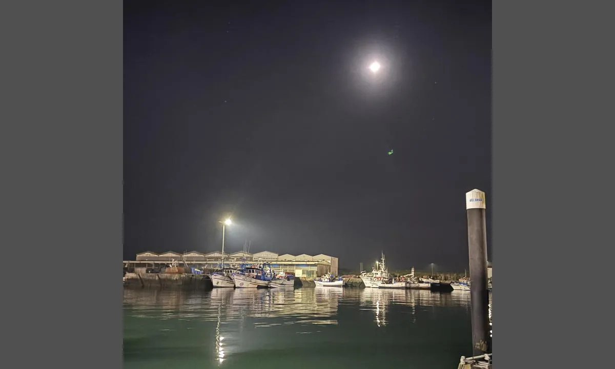 Povoa De Varzim Marina: Utsikt från gästmarinan mot fiskebåtarnas fiskeläge