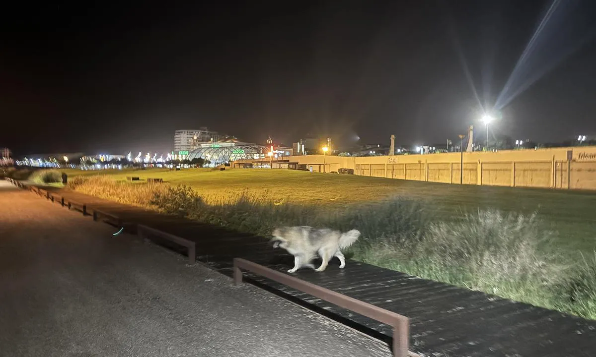 Povoa De Varzim Marina: {"base": "se", "no": "Kveldsutsikt utenfor marinaen med kasinoet og byen i bakgrunnen.", "se": "Kv\u00e4llsvy utanf\u00f6r marinan med casinot och staden i bakgrunden.", "en": "Evening view outside the marina with the casino and the city in the background.", "da": "Aftenscene udenfor marinaen med kasinoet og byen i baggrunden.", "fr": "Vue du soir \u00e0 l'ext\u00e9rieur de la marina avec le casino et la ville en arri\u00e8re-plan.", "de": "Abendansicht au\u00dferhalb des Yachthafens mit dem Casino und der Stadt im Hintergrund.", "es": "Vista nocturna fuera de la marina con el casino y la ciudad en el fondo.", "it": "Vista serale fuori dal porto turistico con il casin\u00f2 e la citt\u00e0 sullo sfondo.", "pt": "Vista noturna fora da marina com o cassino e a cidade ao fundo.", "nl": "Avondzicht buiten de jachthaven met het casino en de stad op de achtergrond.", "pl": "Wieczorny widok przed marin\u0105 z kasynem i miastem w tle.", "uk": "\u0412\u0435\u0447\u0456\u0440\u043d\u0456\u0439 \u0432\u0438\u0434 \u0437\u0430 \u043c\u0435\u0436\u0430\u043c\u0438 \u043c\u0430\u0440\u0438\u043d\u0438 \u0437 \u043a\u0430\u0437\u0438\u043d\u043e \u0442\u0430 \u043c\u0456\u0441\u0442\u043e\u043c \u043d\u0430 \u0437\u0430\u0434\u043d\u044c\u043e\u043c\u0443 \u043f\u043b\u0430\u043d\u0456.", "ro": "Vedere de sear\u0103 \u00een afara marinei cu cazinoul \u0219i ora\u0219ul \u00een fundal.", "tr": "Marinan\u0131n d\u0131\u015f\u0131ndaki ak\u015fam manzaras\u0131, arka planda kumarhane ve \u015fehir ile.", "el": "\u0392\u03c1\u03b1\u03b4\u03b9\u03bd\u03ae \u03b8\u03ad\u03b1 \u03ad\u03be\u03c9 \u03b1\u03c0\u03cc \u03c4\u03b7 \u03bc\u03b1\u03c1\u03af\u03bd\u03b1 \u03bc\u03b5 \u03c4\u03bf \u03ba\u03b1\u03b6\u03af\u03bd\u03bf \u03ba\u03b1\u03b9 \u03c4\u03b7\u03bd \u03c0\u03cc\u03bb\u03b7 \u03c3\u03c4\u03bf \u03c0\u03b1\u03c1\u03b1\u03c3\u03ba\u03ae\u03bd\u03b9\u03bf.", "cs": "Ve\u010dern\u00ed pohled p\u0159ed marinou s kasinem a m\u011bstem v pozad\u00ed.", "hu": "Esti kil\u00e1t\u00e1s a kik\u00f6t\u0151 mellett a kaszin\u00f3val \u00e9s a v\u00e1rossal a h\u00e1tt\u00e9rben.", "fi": "Ilta n\u00e4kym\u00e4 marinasta, kasino ja kaupunki taustalla.", "bg": "\u0412\u0435\u0447\u0435\u0440\u043d\u0430 \u0433\u043b\u0435\u0434\u043a\u0430 \u0438\u0437\u0432\u044a\u043d \u043c\u0430\u0440\u0438\u043d\u0430\u0442\u0430 \u0441 \u043a\u0430\u0437\u0438\u043d\u043e\u0442\u043e \u0438 \u0433\u0440\u0430\u0434\u0430 \u043d\u0430 \u0437\u0430\u0434\u0435\u043d \u043f\u043b\u0430\u043d.", "sr": "Ve\u010dernji pogled izvan marine sa kazinom i gradom u pozadini.", "et": "\u00d5htuvaade jahisadamast v\u00e4ljaspool koos kasiino ja linnaga taustal.", "lv": "Vakara skats \u0101rpus jahtu ostas ar kazino un pils\u0113tu fon\u0101.", "lt": "Vakaro vaizdas u\u017e marinos su kazino ir miestu fone."}