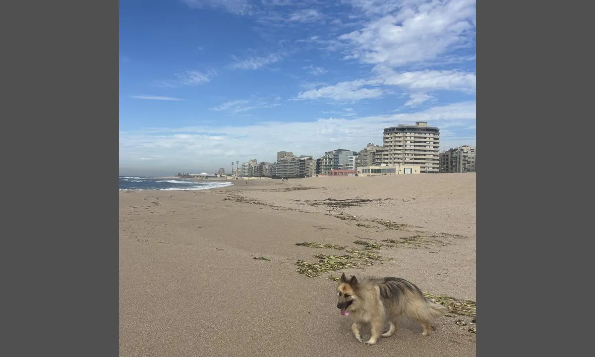 Povoa De Varzim Marina: {"base": "se", "no": "En del av byen P\u00f3voa med den store stranden", "se": "En del av staden P\u00f3voa med den stora stranden", "en": "A part of the town of P\u00f3voa with the large beach", "da": "En del af byen P\u00f3voa med den store strand", "fr": "Une partie de la ville de P\u00f3voa avec la grande plage", "de": "Ein Teil der Stadt P\u00f3voa mit dem gro\u00dfen Strand", "es": "Una parte de la ciudad de P\u00f3voa con la gran playa", "it": "Una parte della citt\u00e0 di P\u00f3voa con la grande spiaggia", "pt": "Parte da cidade de P\u00f3voa com a grande praia", "nl": "Een deel van de stad P\u00f3voa met het grote strand", "pl": "Cz\u0119\u015b\u0107 miasta P\u00f3voa z du\u017c\u0105 pla\u017c\u0105", "uk": "\u0427\u0430\u0441\u0442\u0438\u043d\u0430 \u043c\u0456\u0441\u0442\u0430 \u041f\u00f3\u0432\u043e\u0430 \u0437 \u0432\u0435\u043b\u0438\u043a\u0438\u043c \u043f\u043b\u044f\u0436\u0435\u043c", "ro": "O parte a ora\u0219ului P\u00f3voa cu plaja mare", "tr": "\u015eehrin bir k\u0131sm\u0131 olan P\u00f3voa b\u00fcy\u00fck plaj\u0131yla", "el": "\u039c\u03ad\u03c1\u03bf\u03c2 \u03c4\u03b7\u03c2 \u03c0\u03cc\u03bb\u03b7\u03c2 P\u00f3voa \u03bc\u03b5 \u03c4\u03b7 \u03bc\u03b5\u03b3\u03ac\u03bb\u03b7 \u03c0\u03b1\u03c1\u03b1\u03bb\u03af\u03b1", "cs": "\u010c\u00e1st m\u011bsta P\u00f3voa s velkou pl\u00e1\u017e\u00ed", "hu": "Egy r\u00e9sz P\u00f3voa v\u00e1ros\u00e1b\u00f3l a nagy stranddal", "fi": "Osa P\u00f3voan kaupungista, jossa on suuri ranta", "bg": "\u0427\u0430\u0441\u0442 \u043e\u0442 \u0433\u0440\u0430\u0434 \u041f\u043e\u0432\u0443 \u0441 \u0433\u043e\u043b\u0435\u043c\u0438\u044f \u043f\u043b\u0430\u0436", "sr": "Deo grada P\u00f3voa sa velikom pla\u017eom", "et": "Osa linnast P\u00f3voa suure rannaga", "lv": "Da\u013ca no P\u00f3voa pils\u0113tas ar lielo pludmali", "lt": "Dalis miesto P\u00f3voa su dideliu papl\u016bdimiu"}