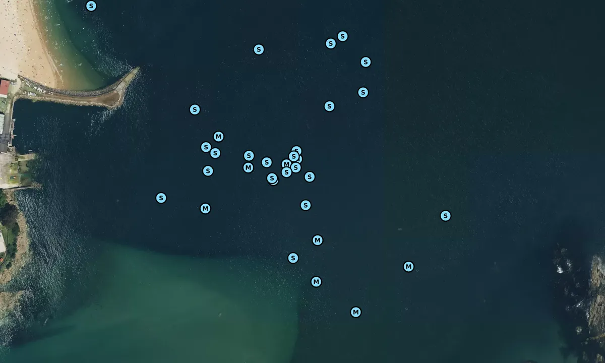 Satelite image of Praia de Santa Cristina
