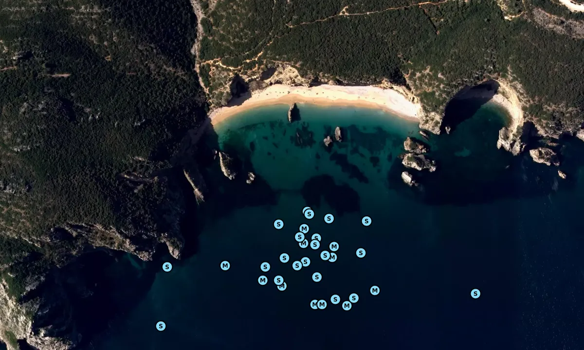Satelite image of Praia do Ribeiro do Cavalo