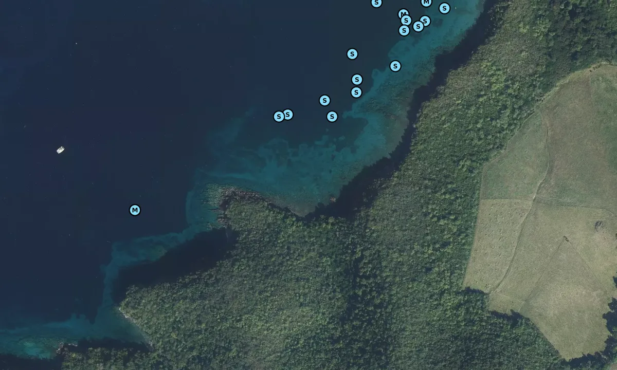 Satelite image of Prés de l'île à ramiers