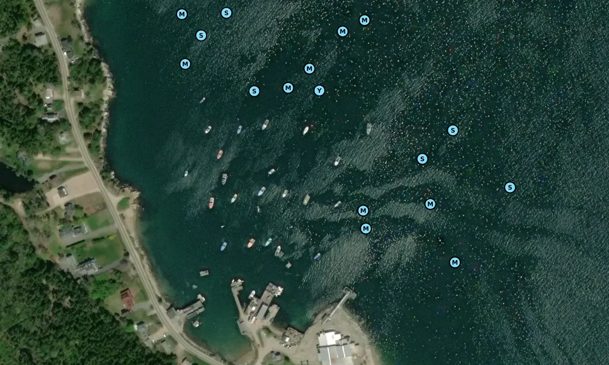 Satelite image of Prospect Harbor