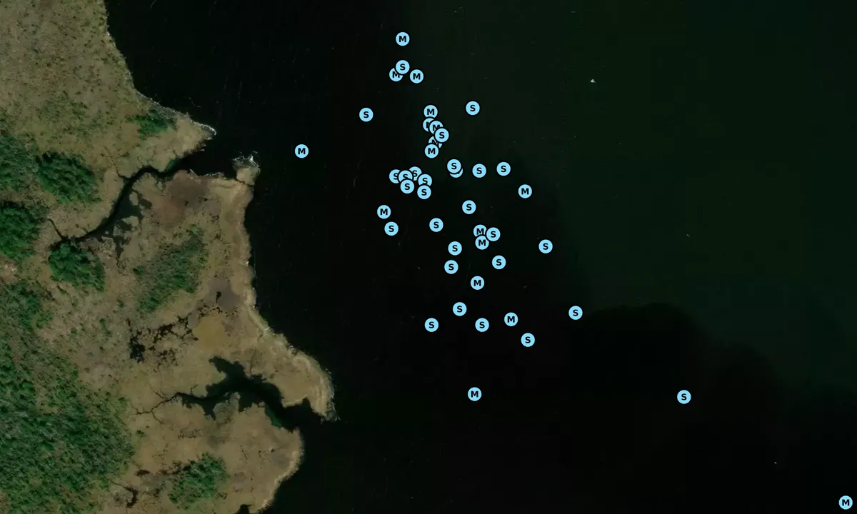 Satelite image of Public Creek North