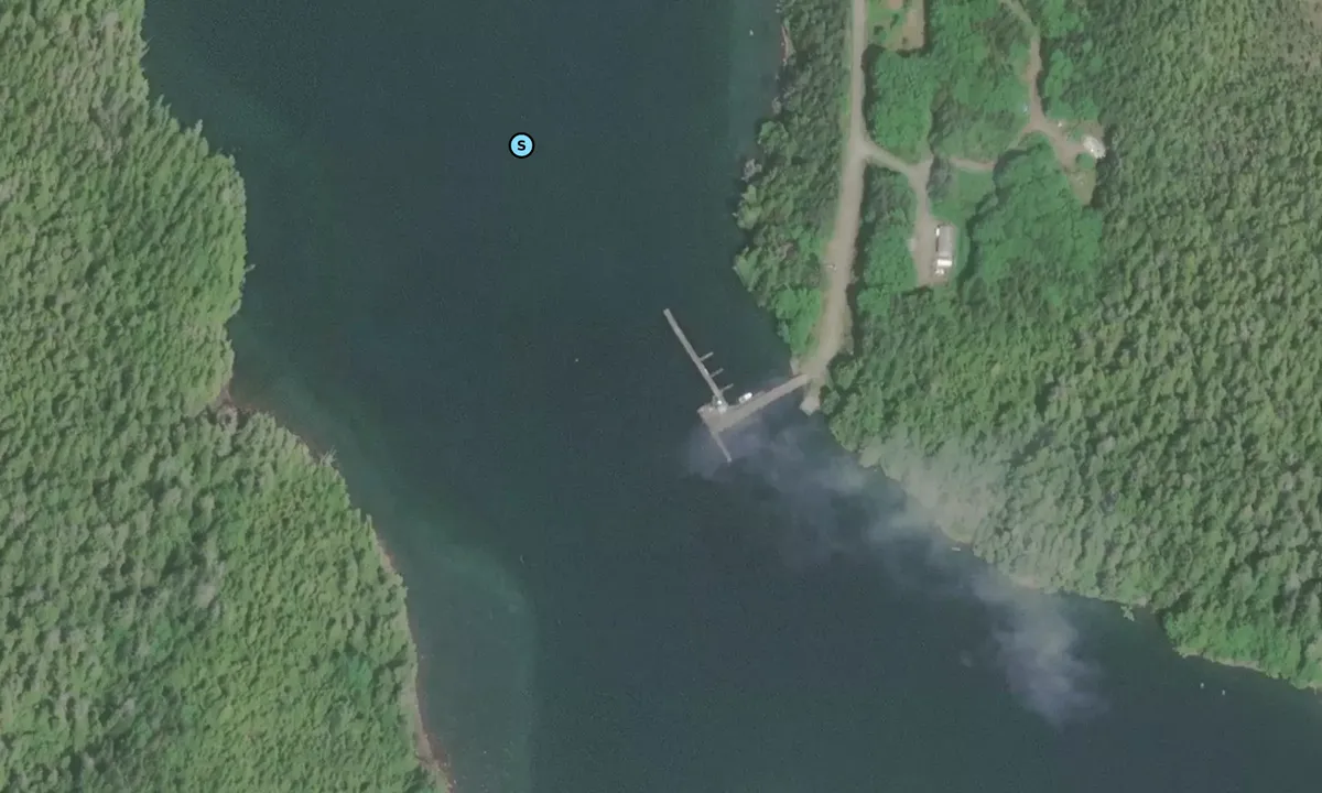 Satelite image of Public Dock 1
