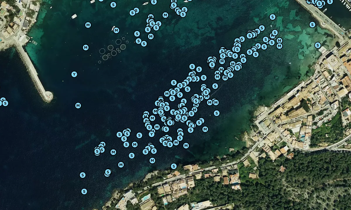 Satelite image of Puerto Andratx