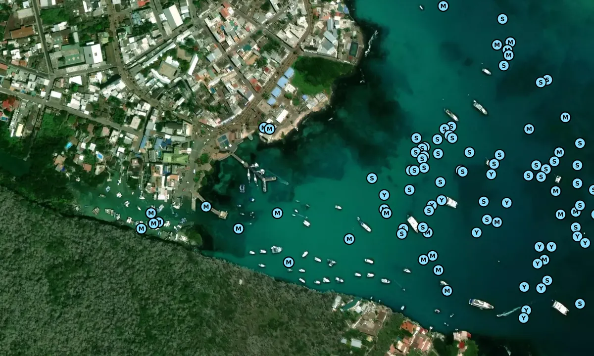Satelite image of Puerto Ayora