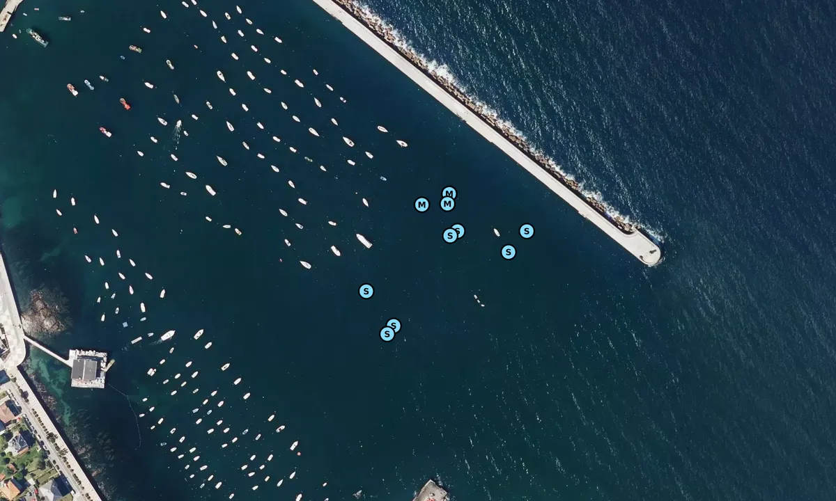 Satelite image of Puerto de Castro Urdiales