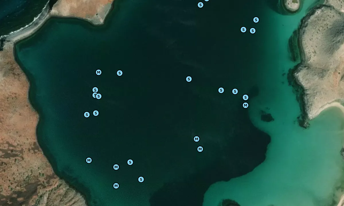 Satelite image of Puerto Don Juan