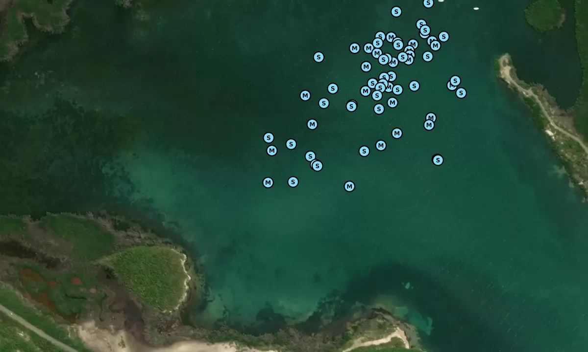 Satelite image of Puerto Ferro