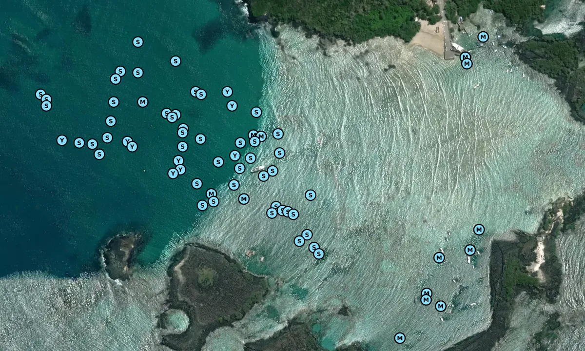Satelite image of Puerto Villamil