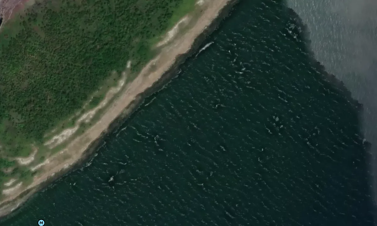 Satelite image of Puffin Island 1