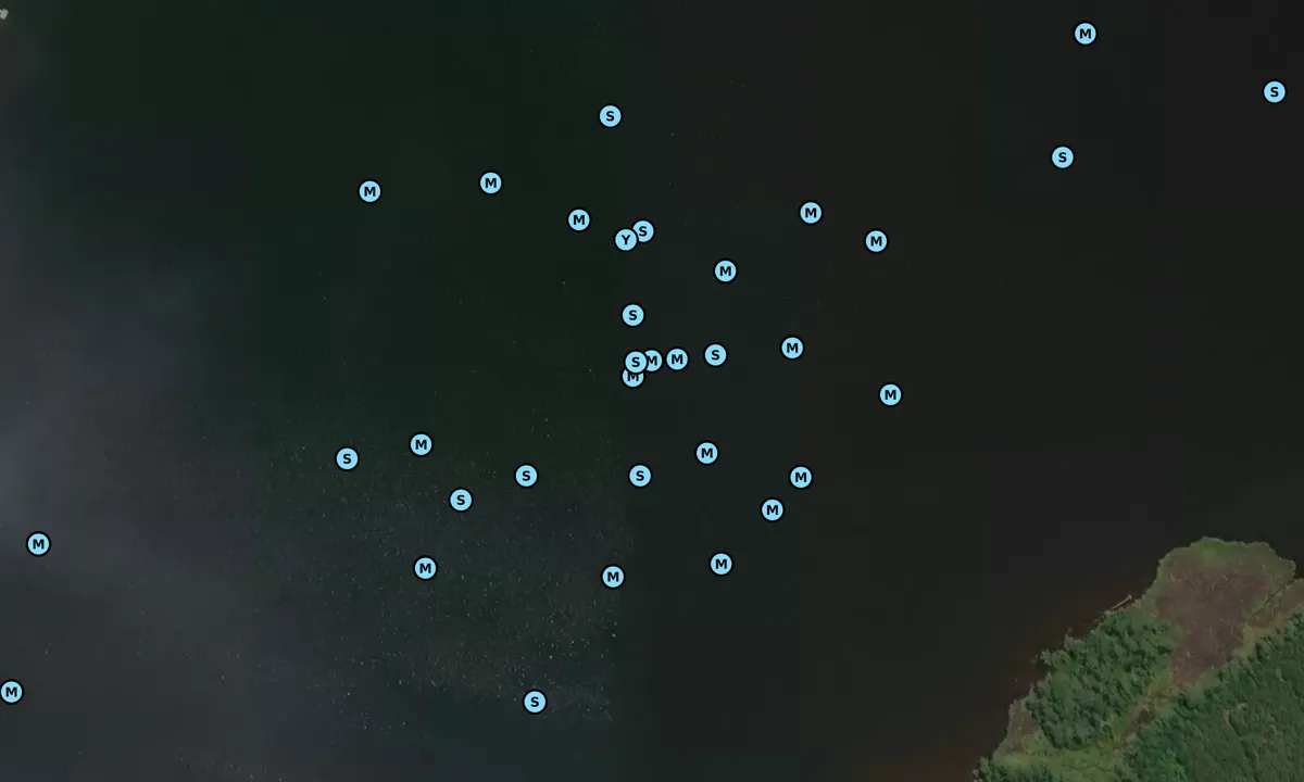 Satelite image of Pungo Creek - 1