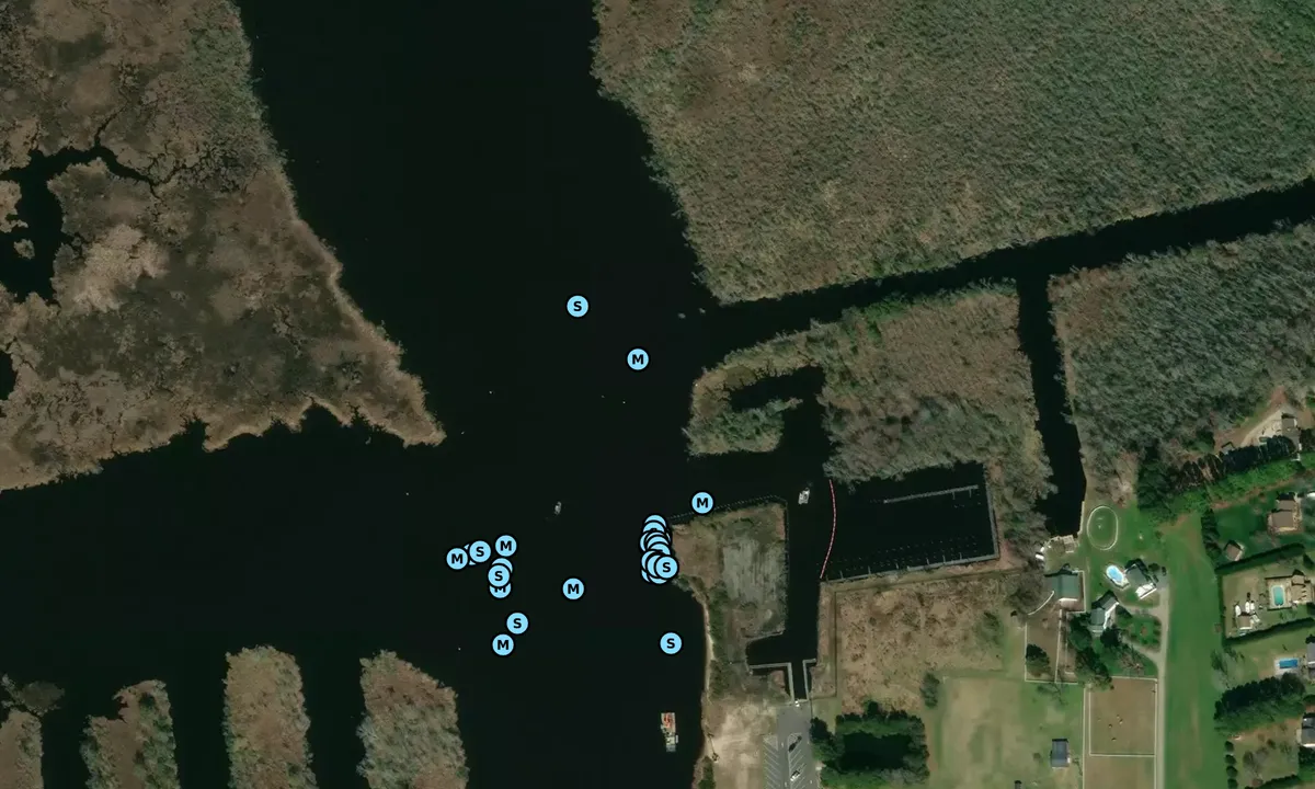 Satelite image of Pungo Ferry 1