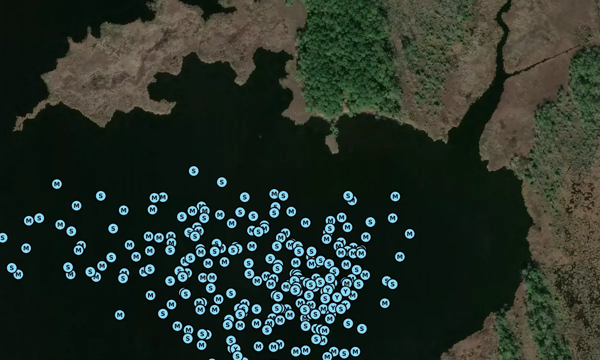 Satelite image of Pungo River