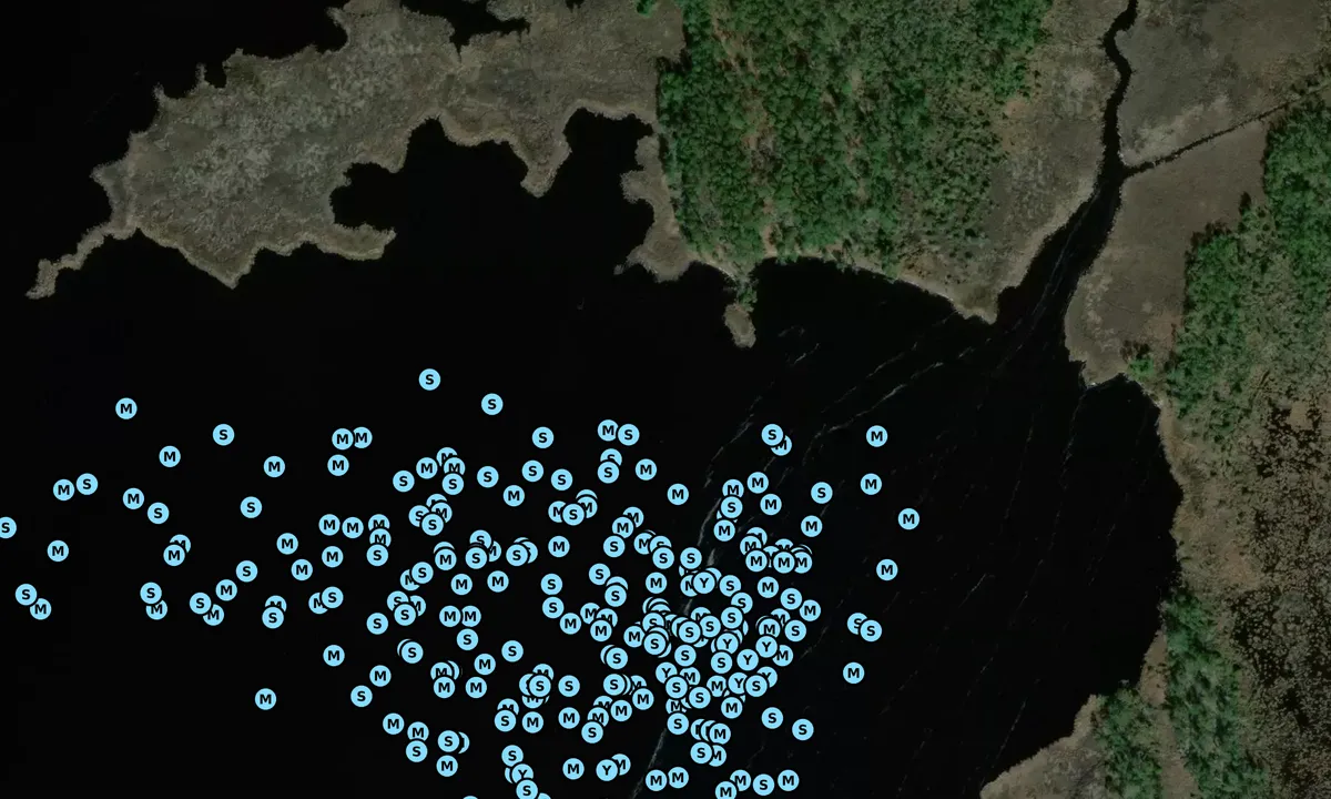 Satelite image of Pungo River