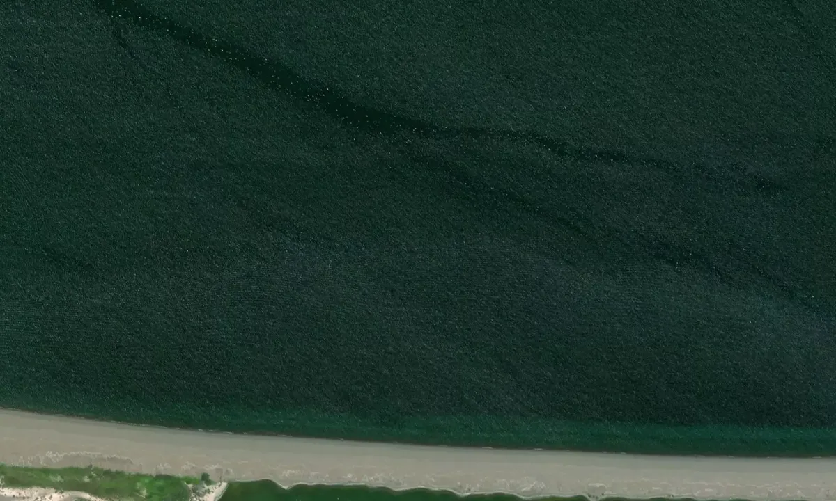 Satelite image of Punta Cerro Prieto