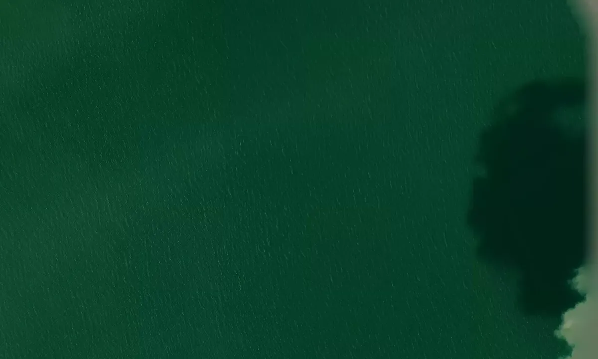 Satelite image of Punta Chame