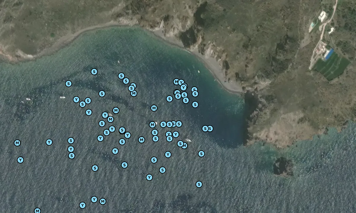 Satelite image of Punta Crepazza -Praia Di Vinci