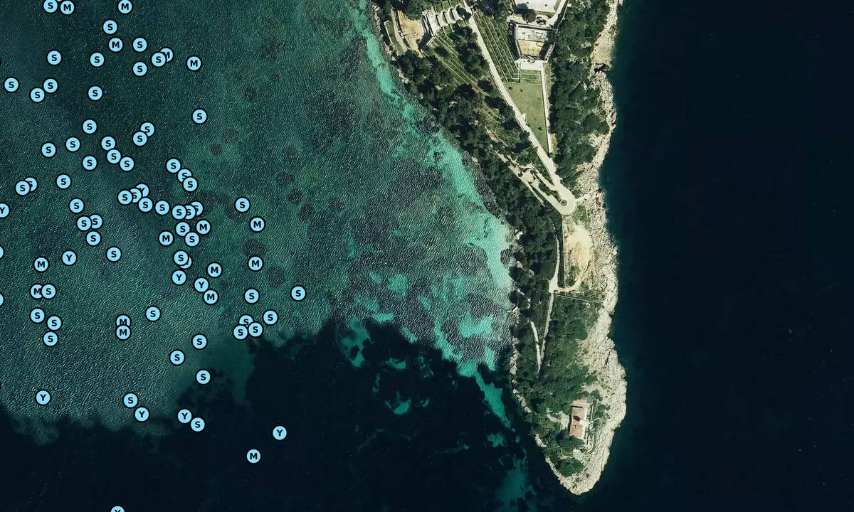 Satelite image of Punta de l'Avançada