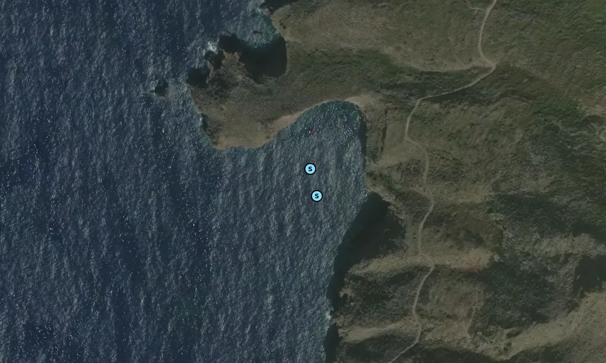 Satelite image of Punta del Cogno Lungo