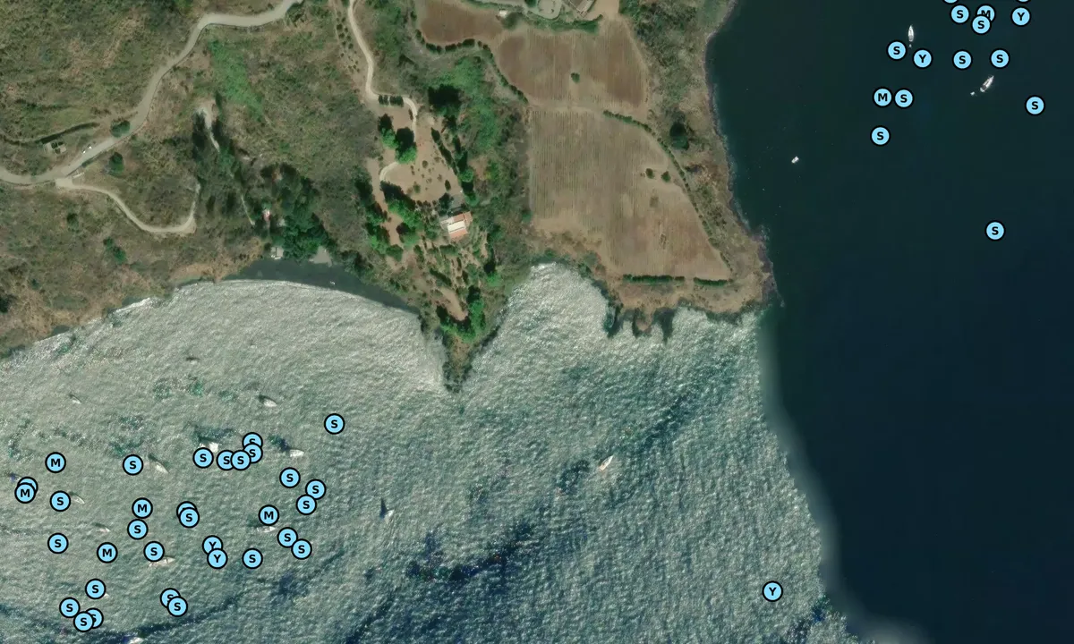 Satelite image of Punta dell'Asino Sud