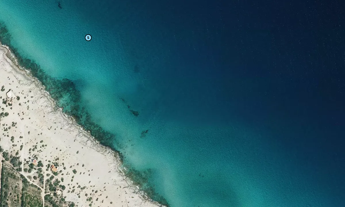 Satelite image of Punta des Martinets