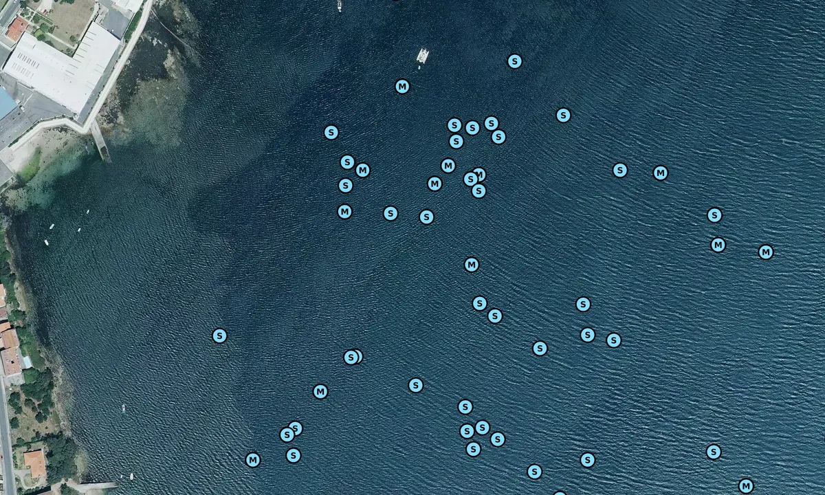 Satelite image of Punta dos Castros