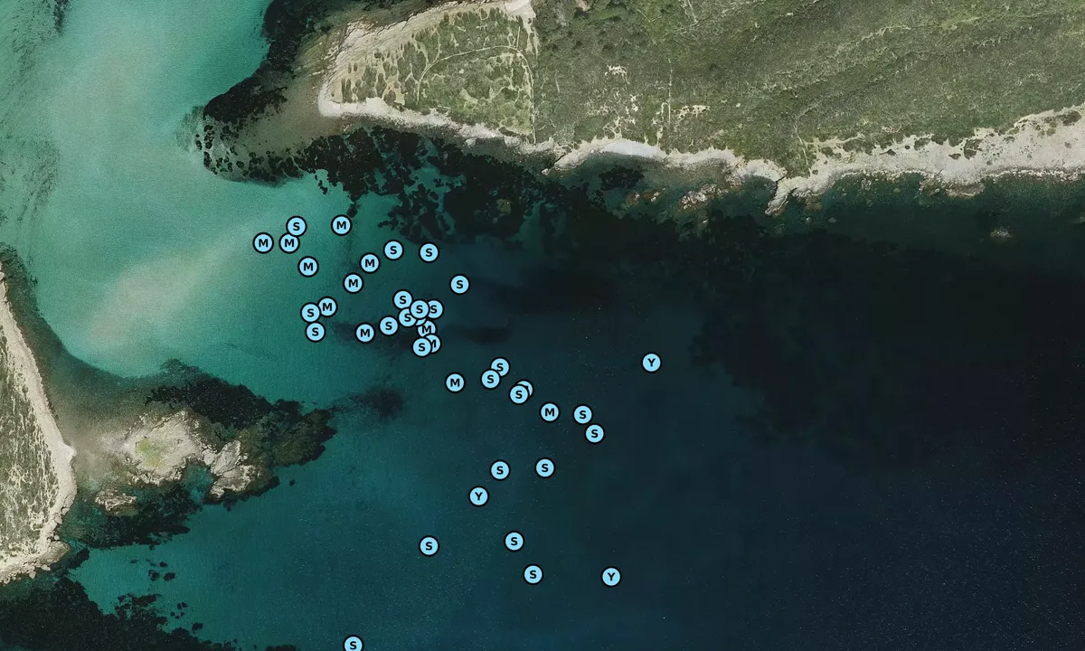 Satelite image of Punta Fra Bernat