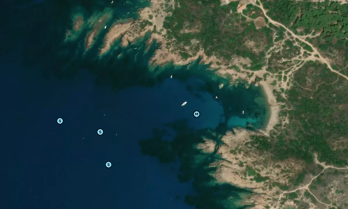 Satelite image of Punta il Canneddi