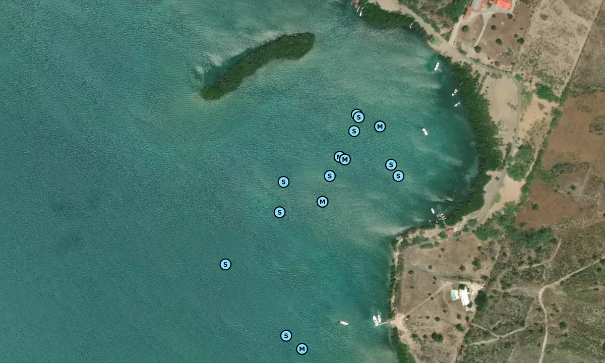 Satelite image of Punta Montalva