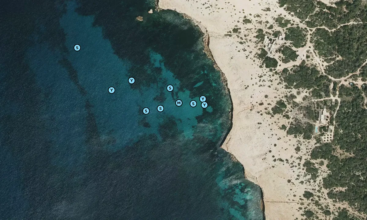 Satelite image of Punta Negra - Cap de Barbaria