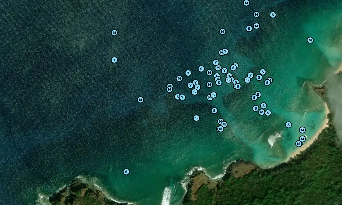 Satelite image of Punta Rociada