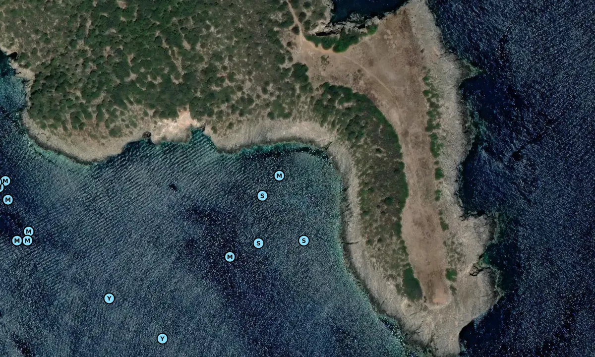 Satelite image of Punta San Francesco