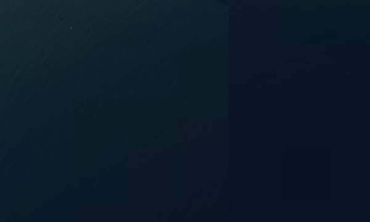 Satelite image of Punta Sdobba