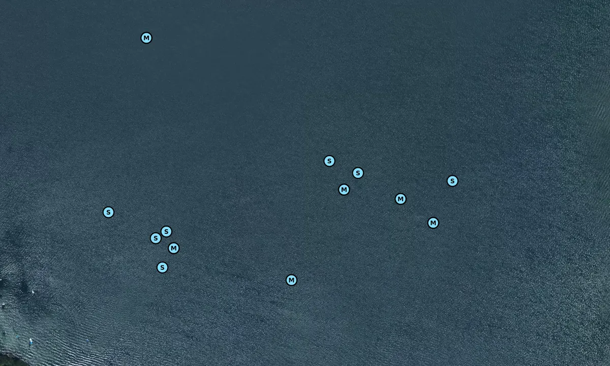 Satelite image of Punta Soutelo
