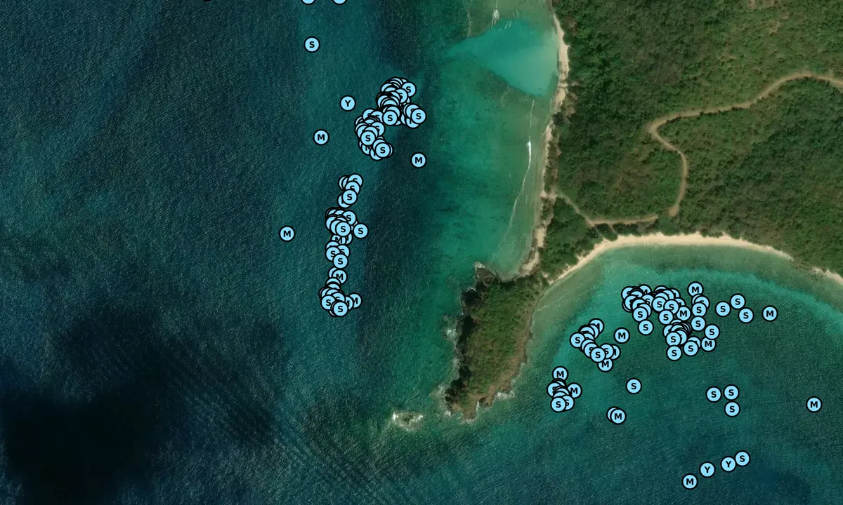 Satelite image of Punta Tamarindo Grande