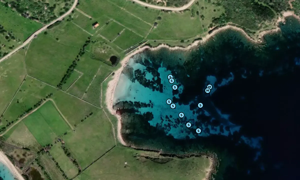 Satelite image of Punta Trabuccato