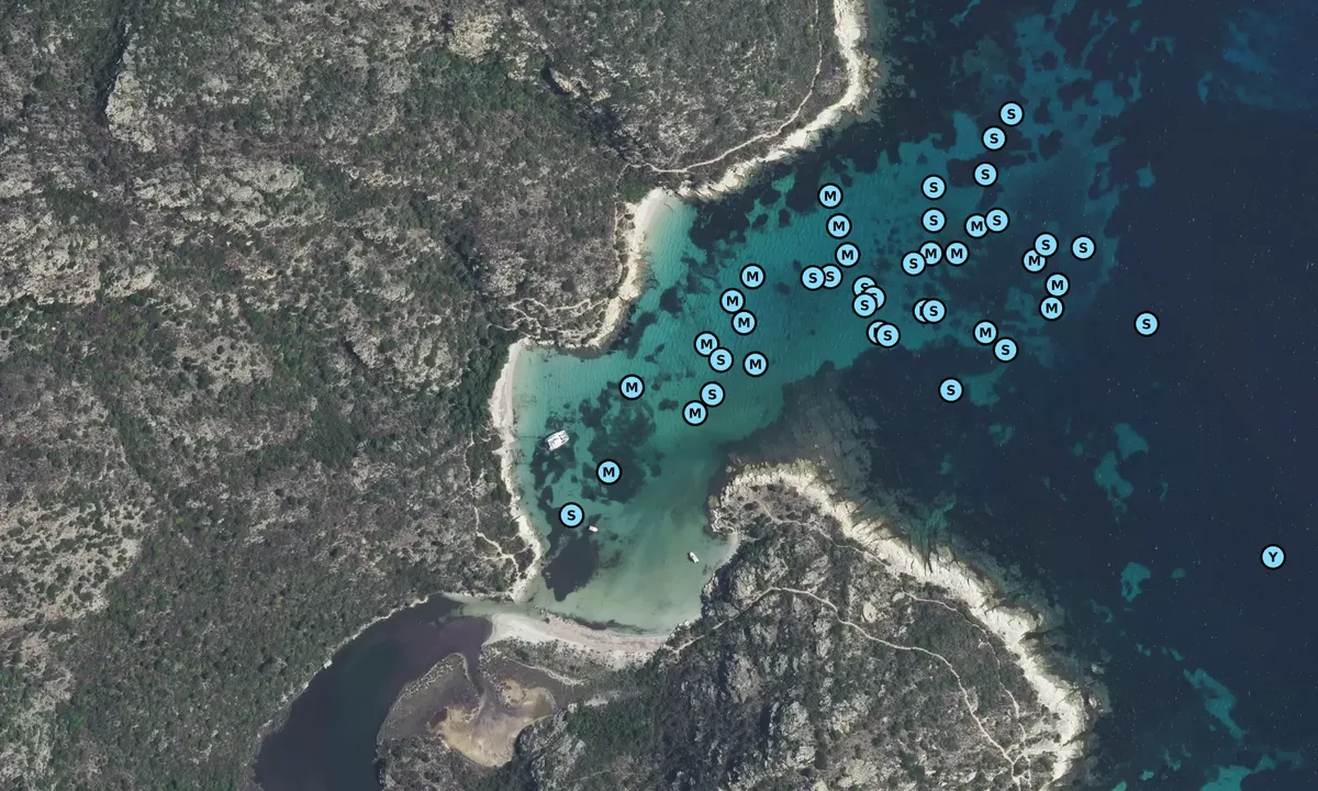 Satelite image of Puntalle