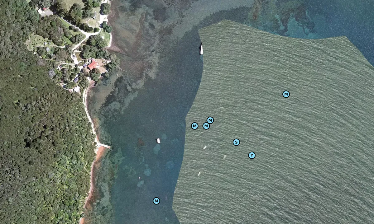 Satelite image of Puriri Bay