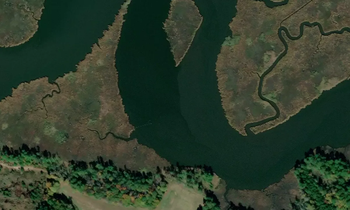 Satelite image of Quantico Creek