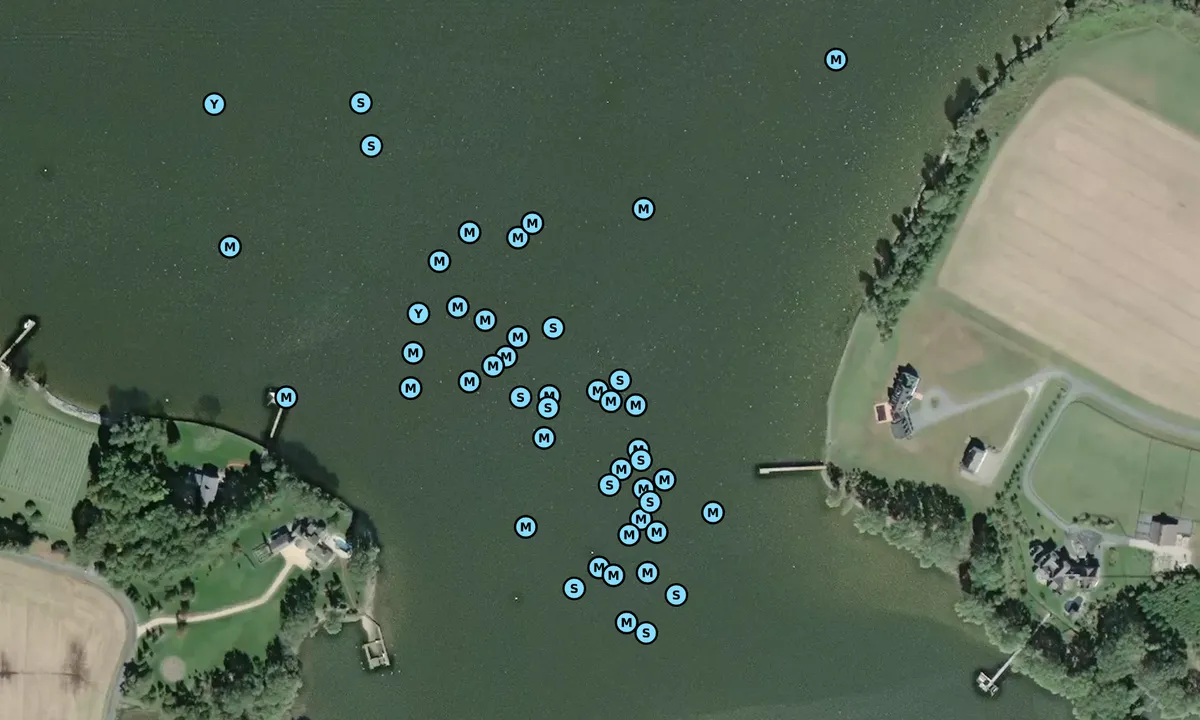 Satelite image of Quarter Cove