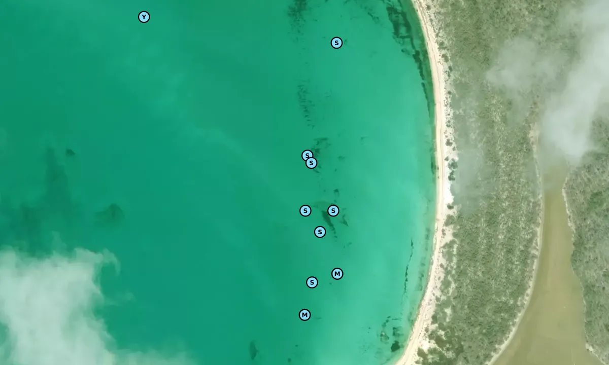 Satelite image of Raccoon Cay