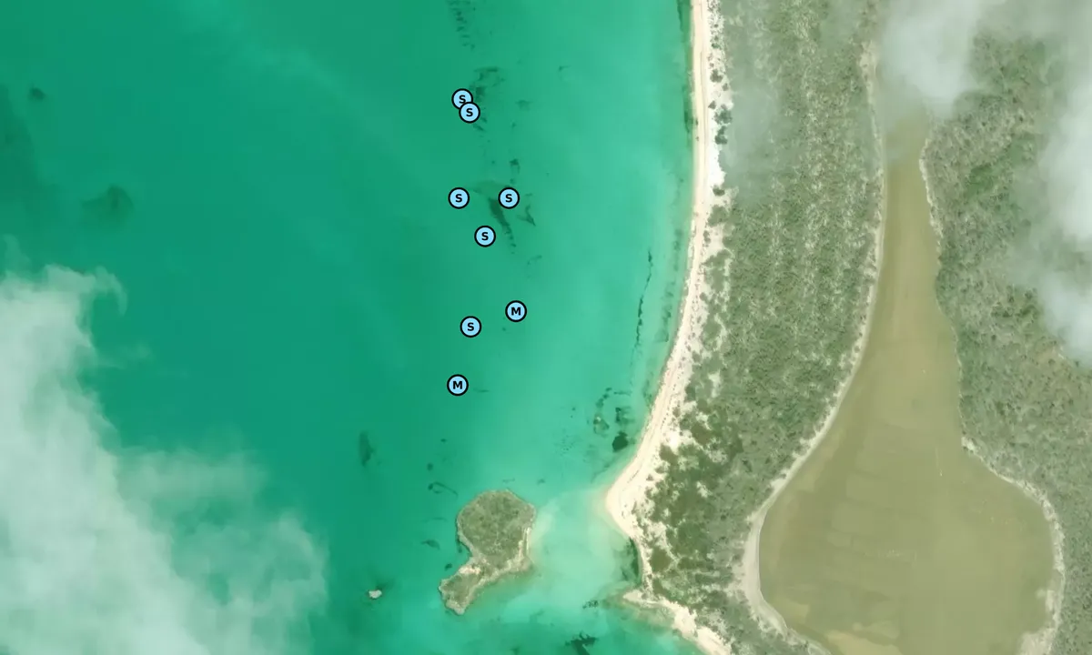 Satelite image of Racoon Cay