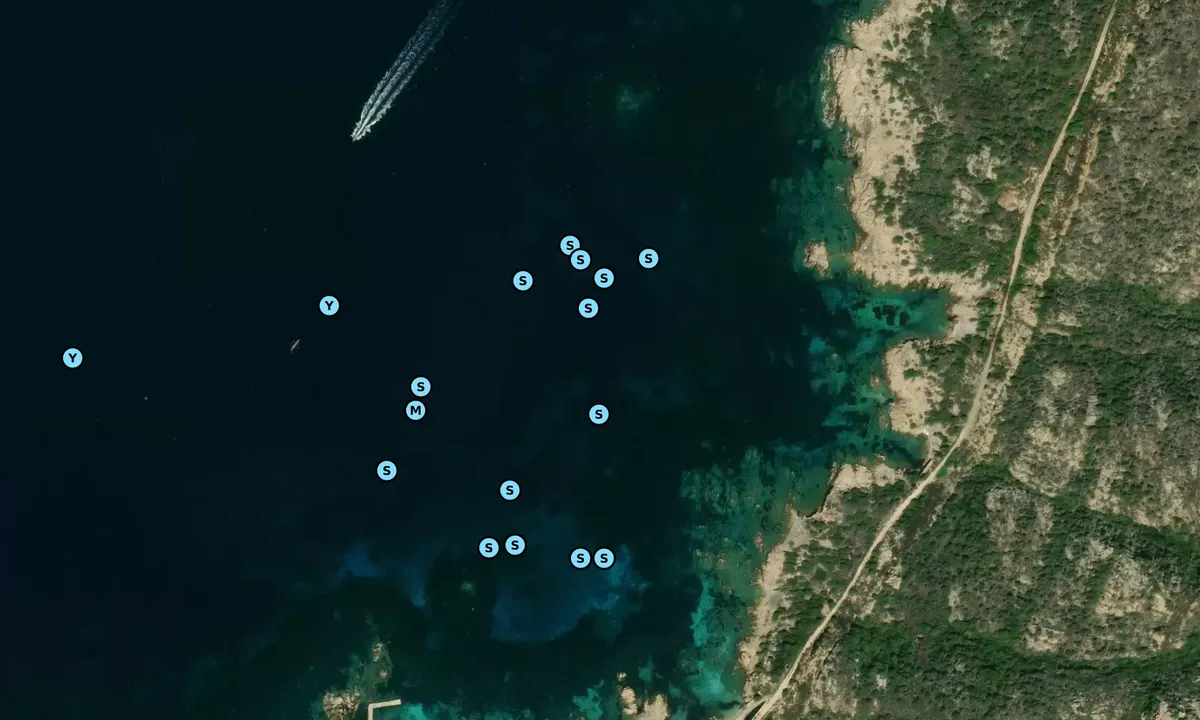Satelite image of Rada della Maddalena