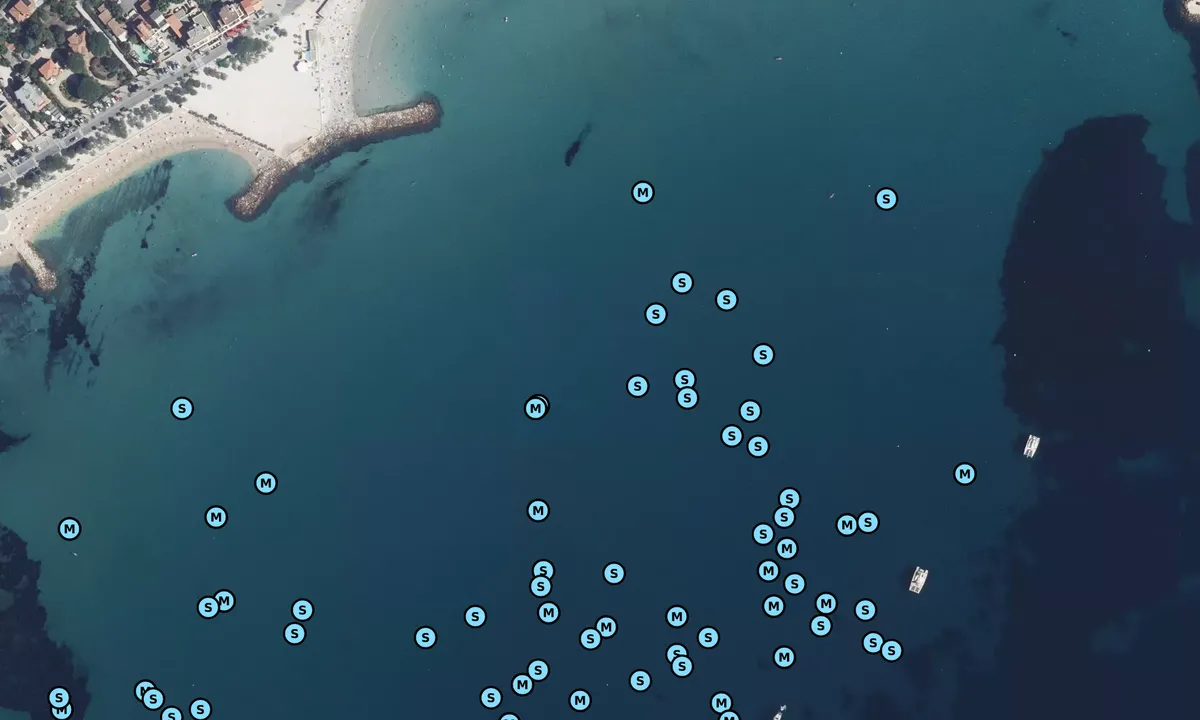 Satelite image of Rade de Ceyreste/ Grande Plage